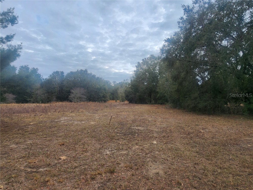 2407 Jackson Street Inverness FL 34453 OM693039 image8