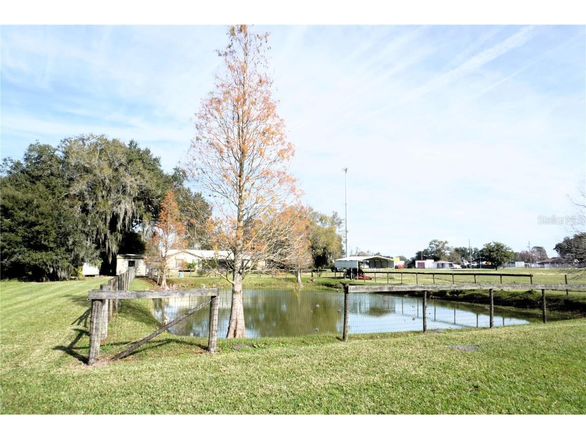 2407 Medulla Road Plant City FL 33566 T3497335 image11