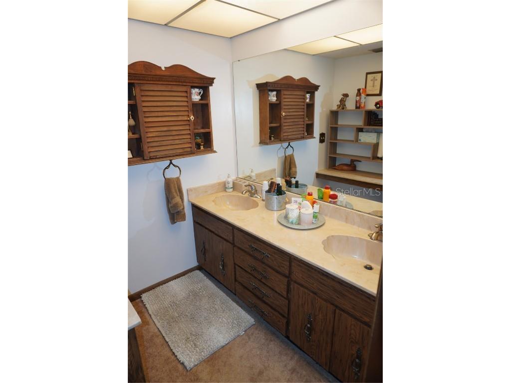 2407 Medulla Road Plant City FL 33566 T3497335 image18