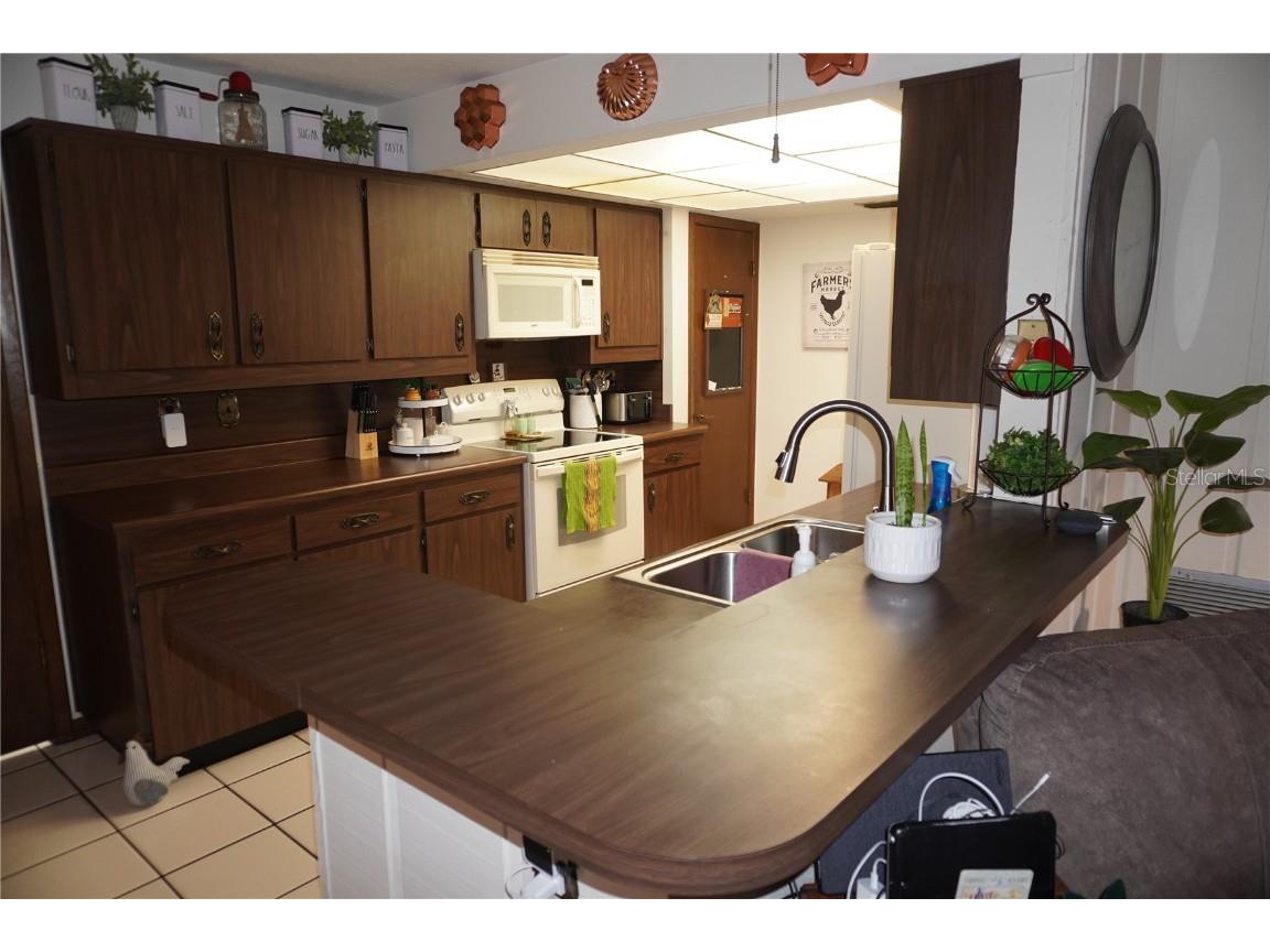 2407 Medulla Road Plant City FL 33566 T3497335 image20