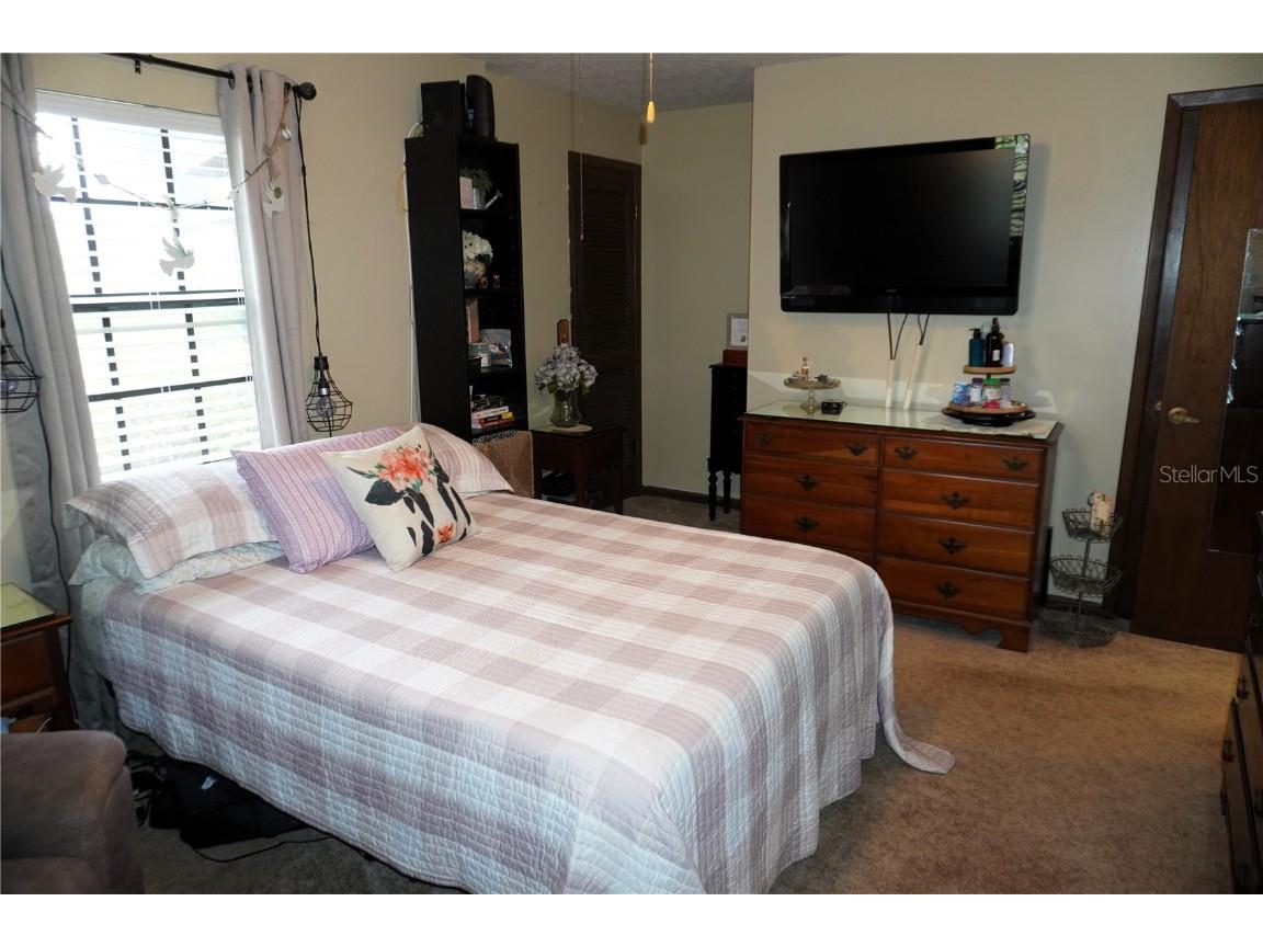 2407 Medulla Road Plant City FL 33566 T3497335 image24