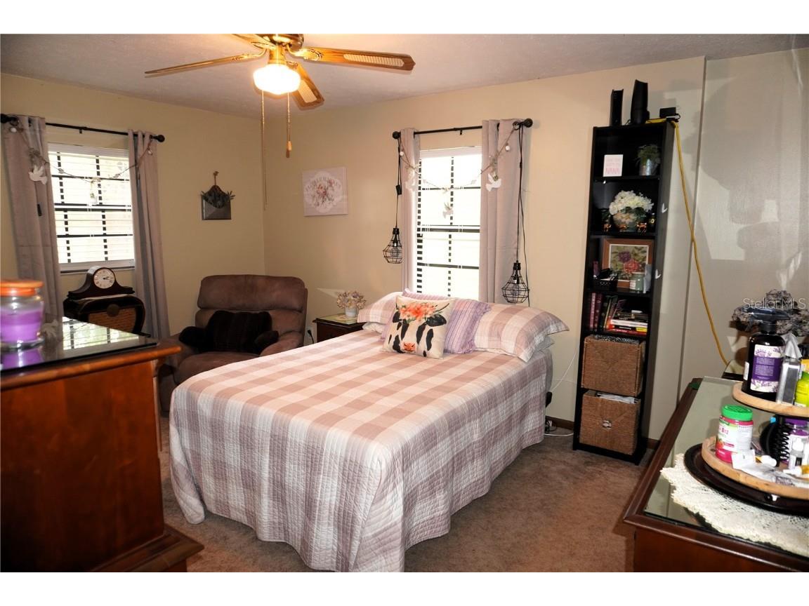 2407 Medulla Road Plant City FL 33566 T3497335 image25