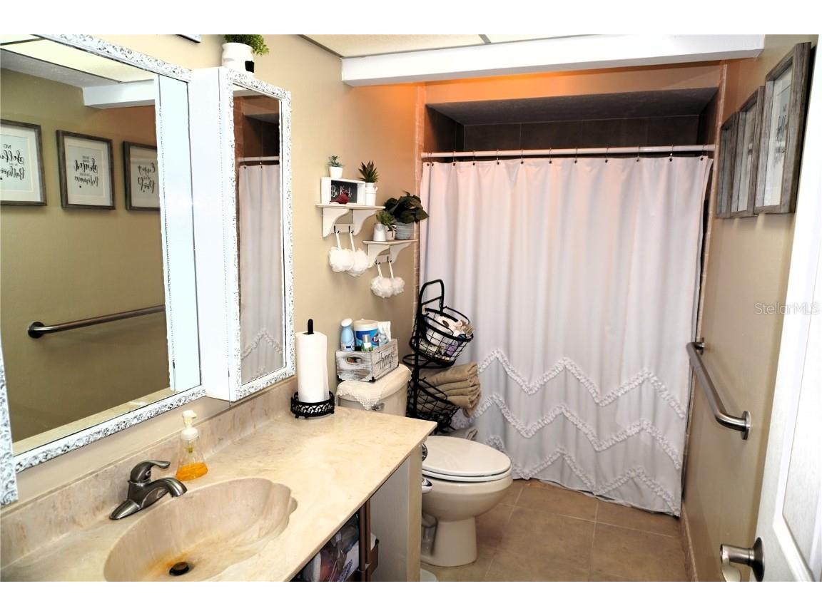 2407 Medulla Road Plant City FL 33566 T3497335 image26