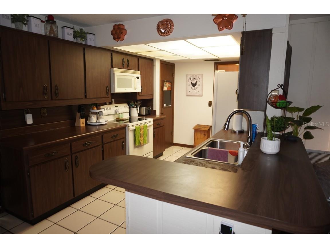 2407 Medulla Road Plant City FL 33566 T3497335 image30