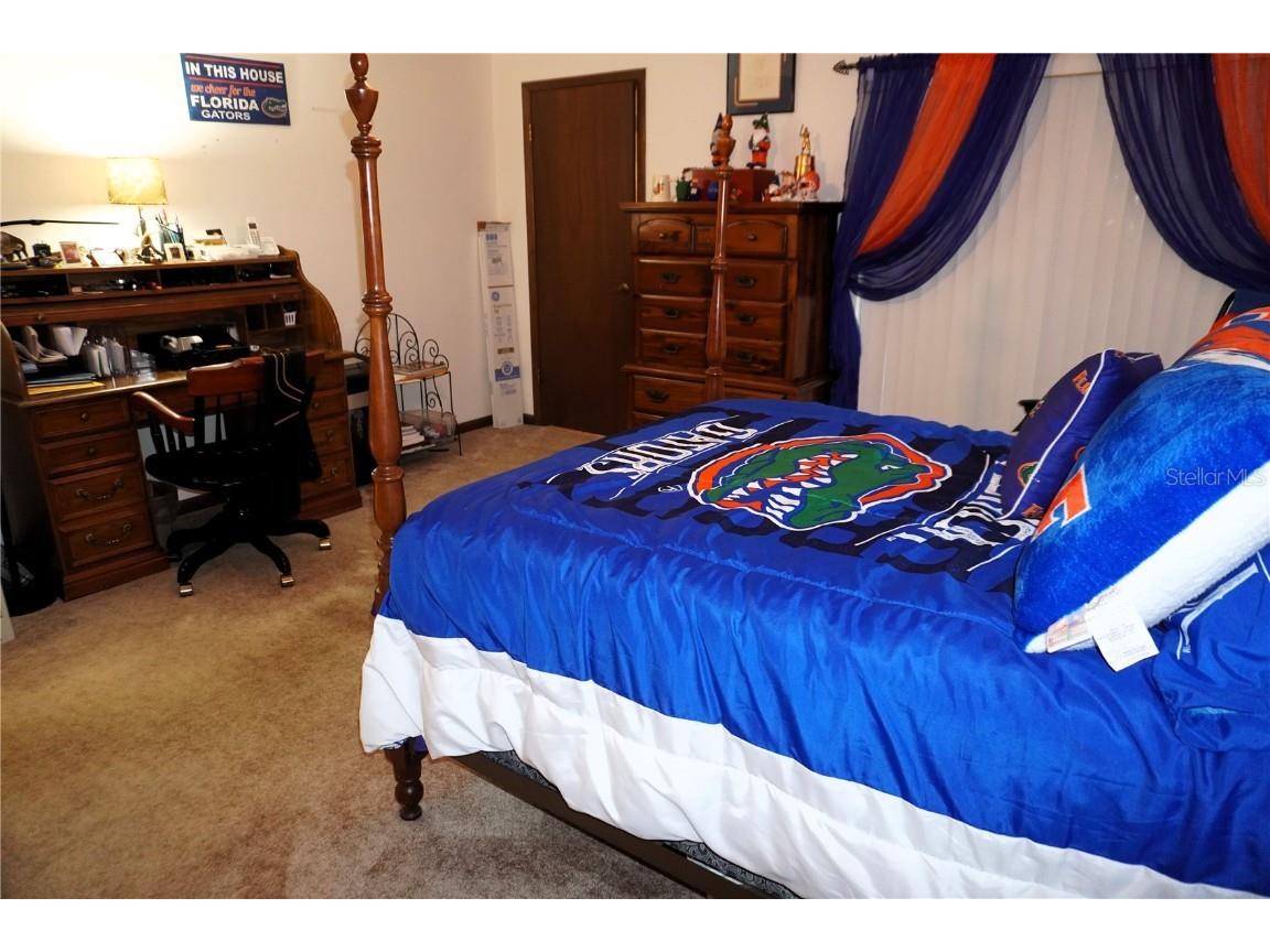 2407 Medulla Road Plant City FL 33566 T3497335 image33