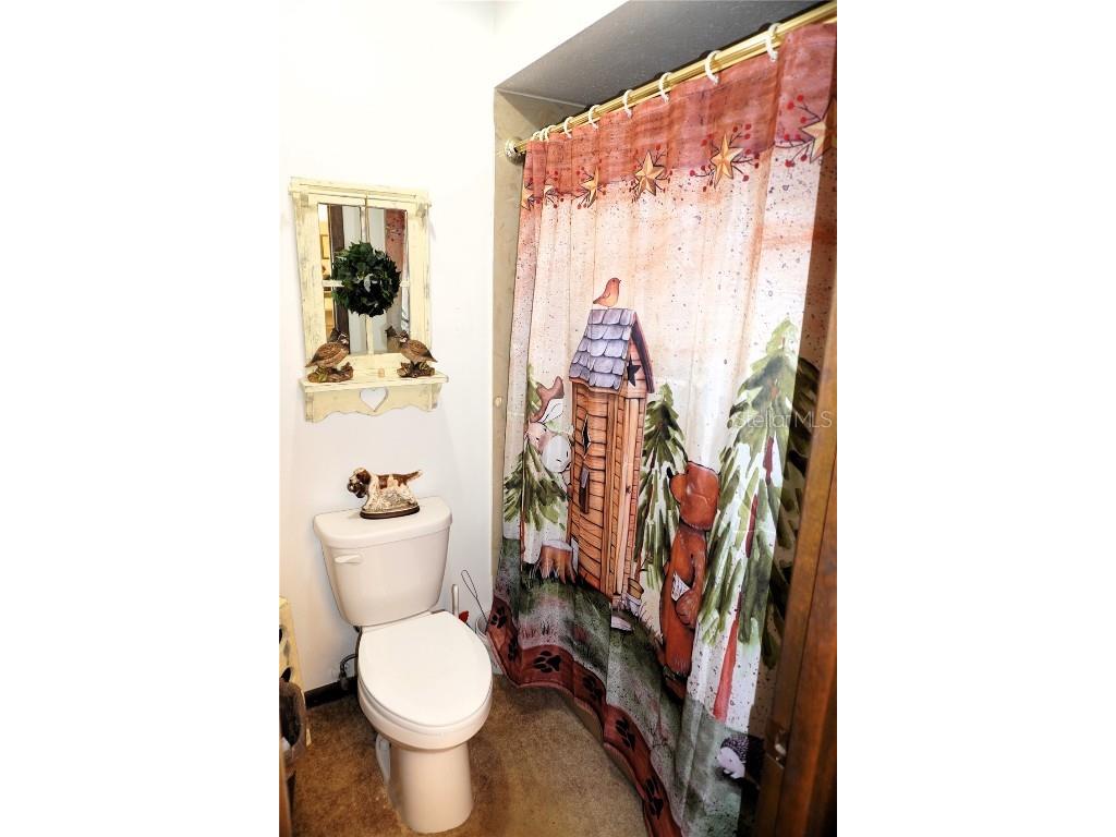 2407 Medulla Road Plant City FL 33566 T3497335 image34