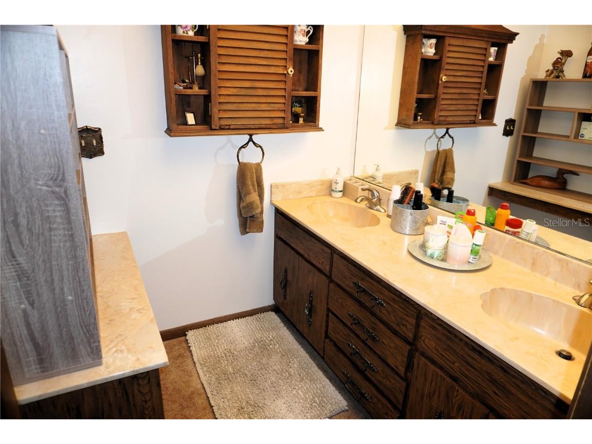 2407 Medulla Road Plant City FL 33566 T3497335 image35