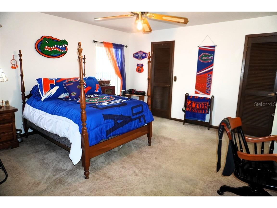 2407 Medulla Road Plant City FL 33566 T3497335 image37