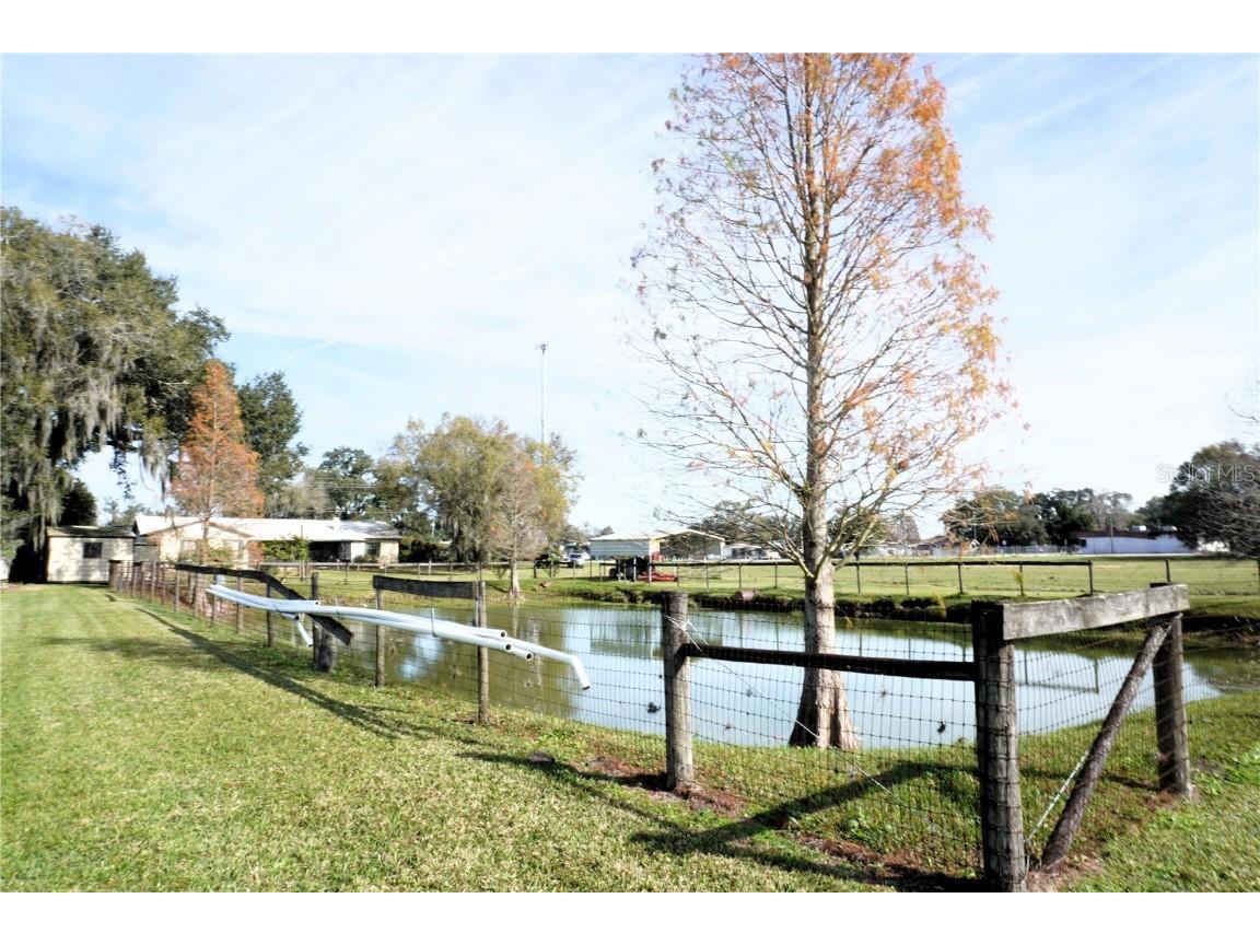 2407 Medulla Road Plant City FL 33566 T3497335 image8
