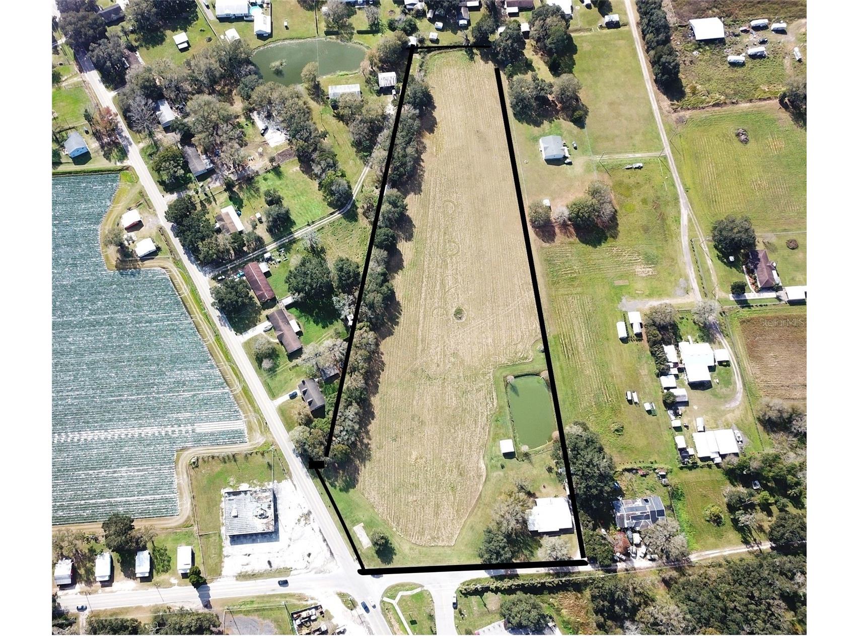 2407 Medulla Road Plant City FL 33566 T3497335 image1