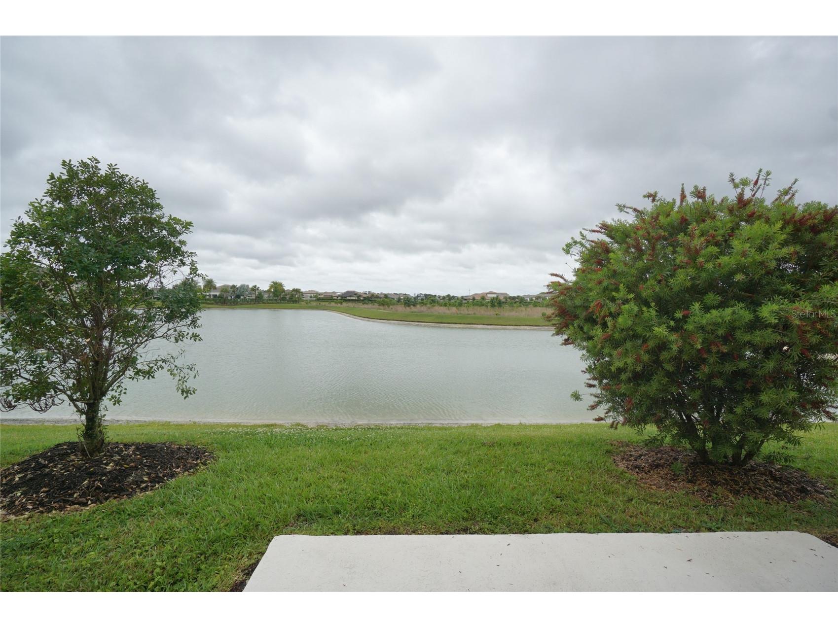 2407 Paravane Way Wesley Chapel FL 33543 TB8496382 image24