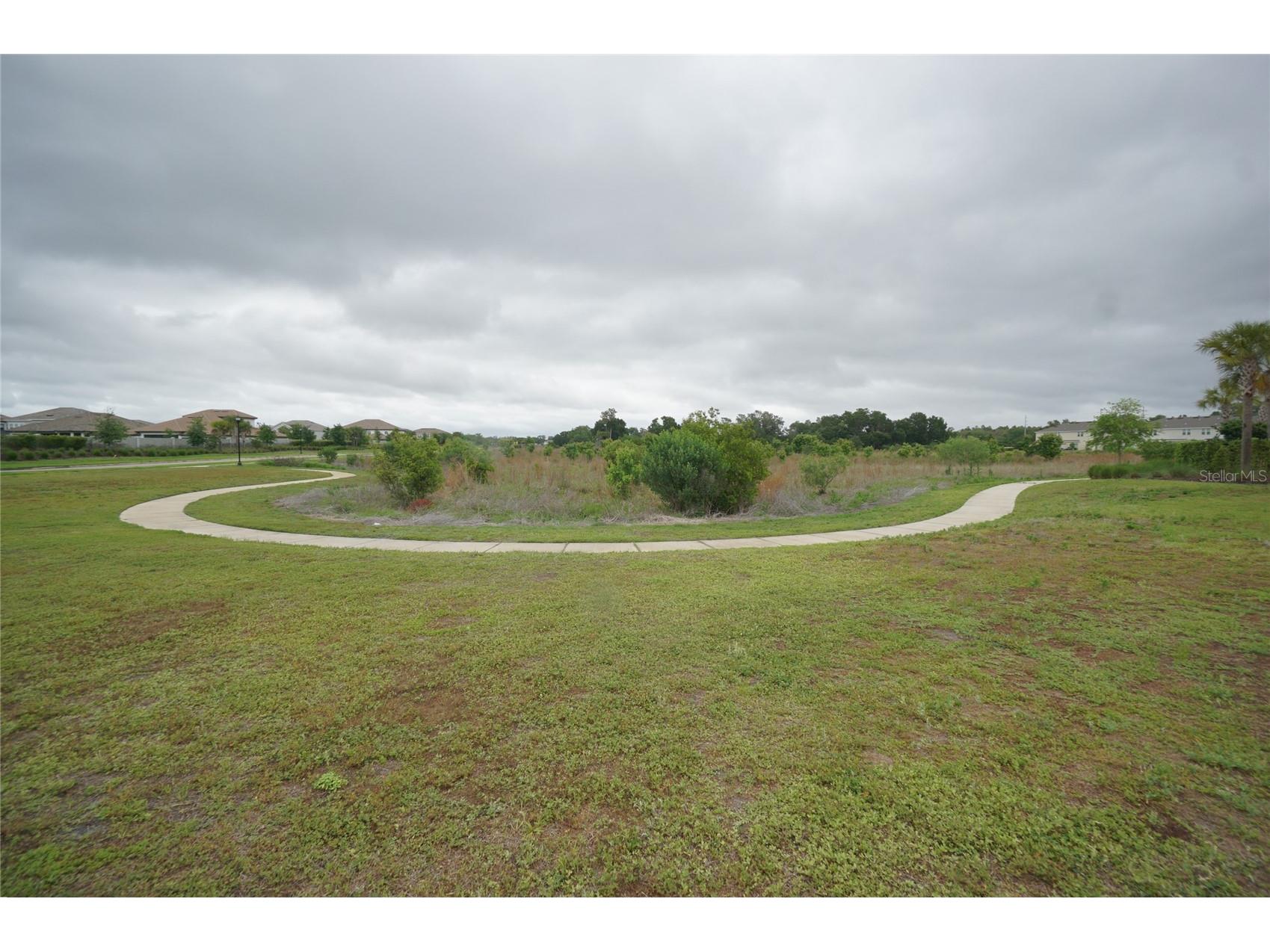 2407 Paravane Way Wesley Chapel FL 33543 TB8496382 image35