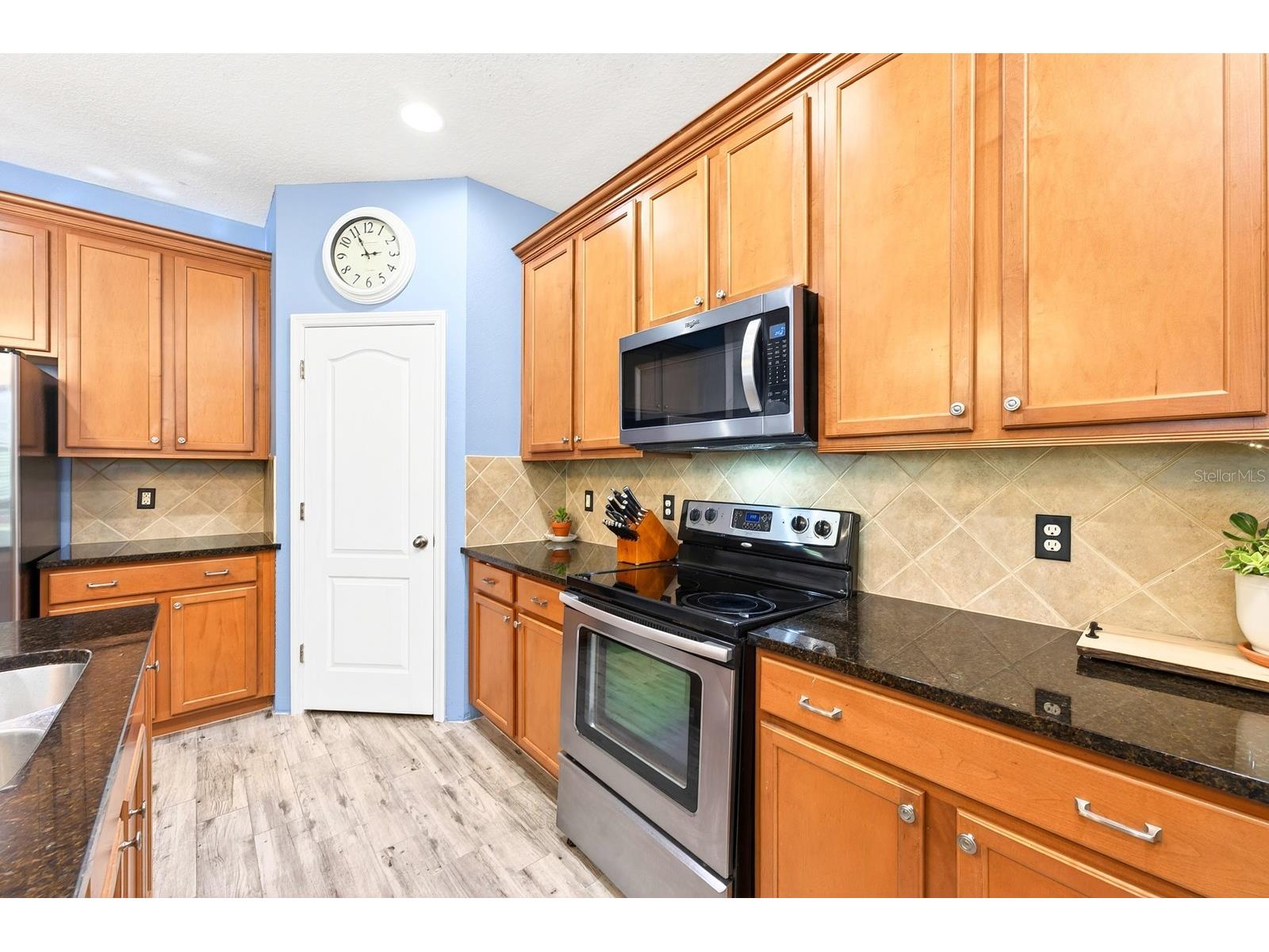 2407 Parkside Meadow Drive Apopka FL 32712 O6406699 image12