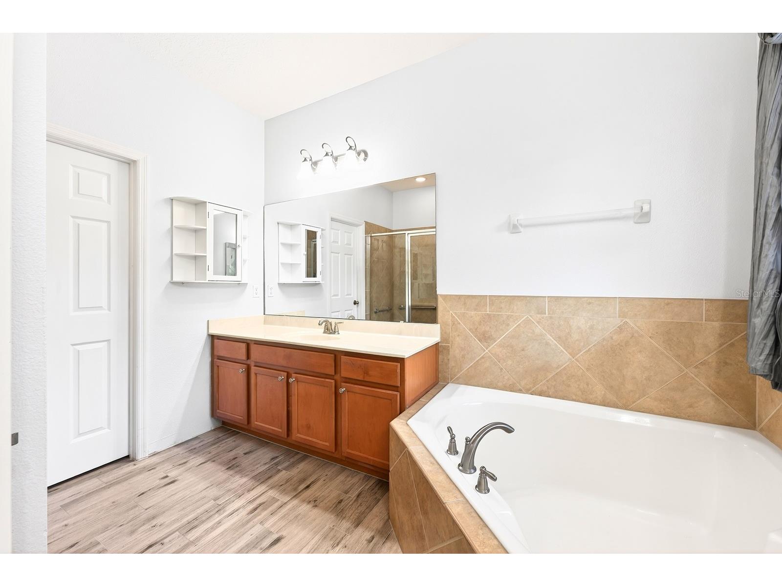 2407 Parkside Meadow Drive Apopka FL 32712 O6406699 image19