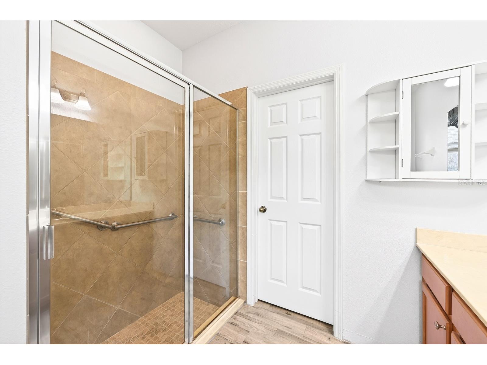 2407 Parkside Meadow Drive Apopka FL 32712 O6406699 image21