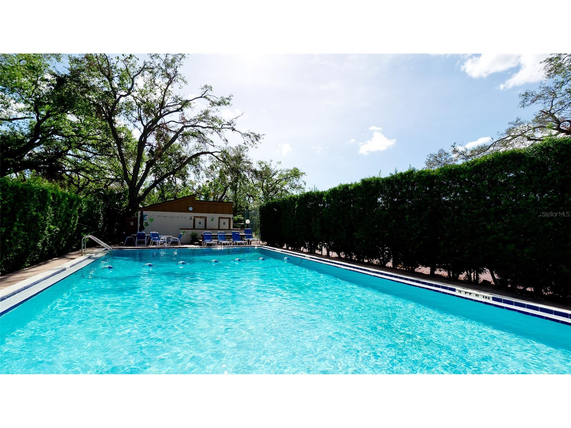 2407 Quail Court Bradenton FL 34209 A4697532 image14