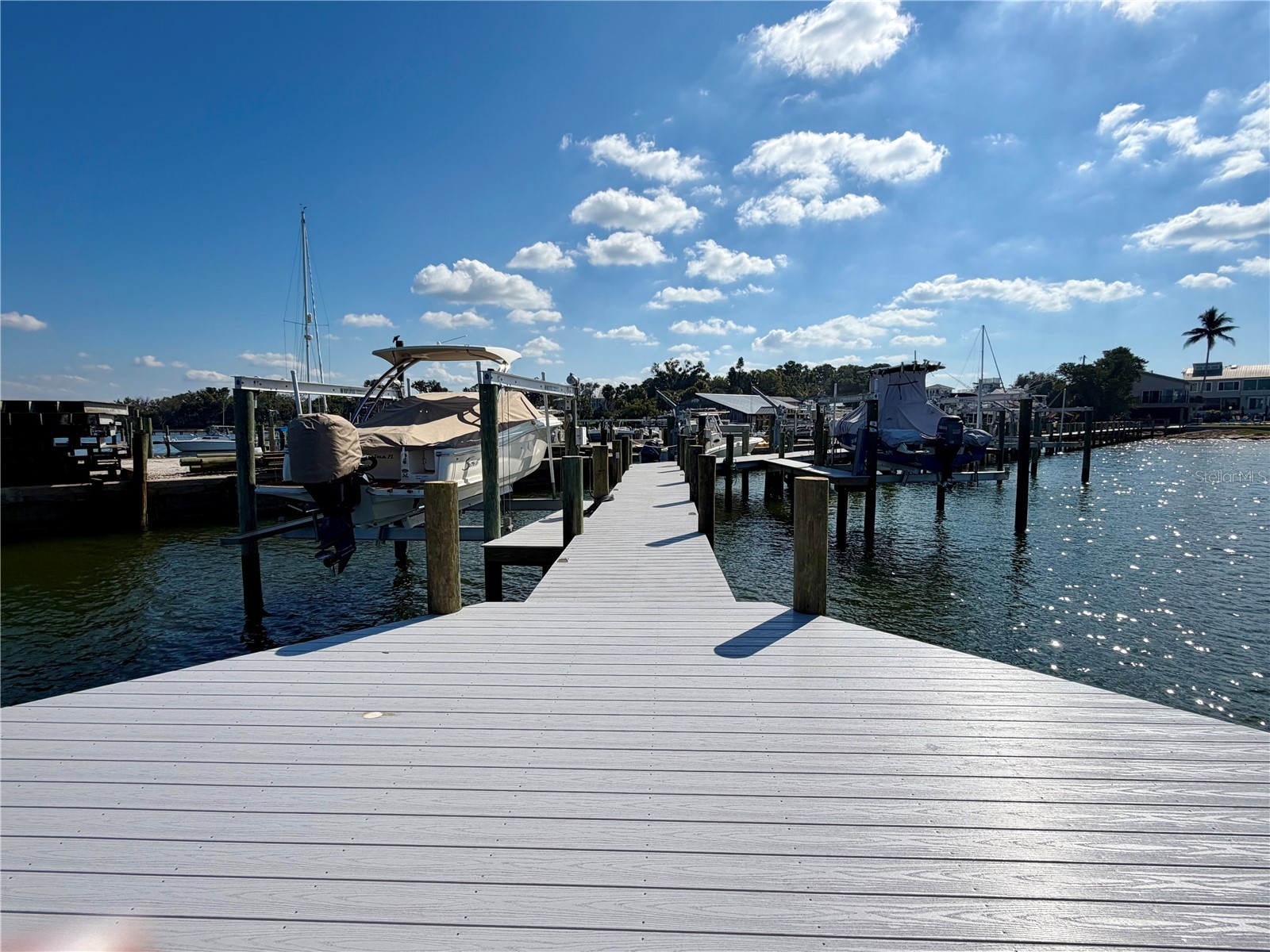 2408 89th Street NW Bradenton FL 34209 - TAMPA BAY A4669737 image43