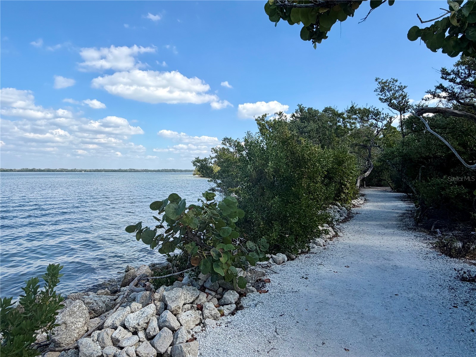 2408 89th Street NW Bradenton FL 34209 - TAMPA BAY A4669737 image63