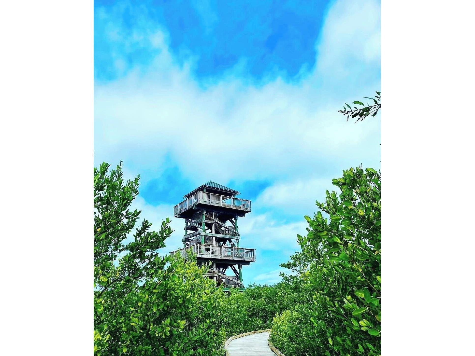 2408 89th Street NW Bradenton FL 34209 - TAMPA BAY A4669737 image71