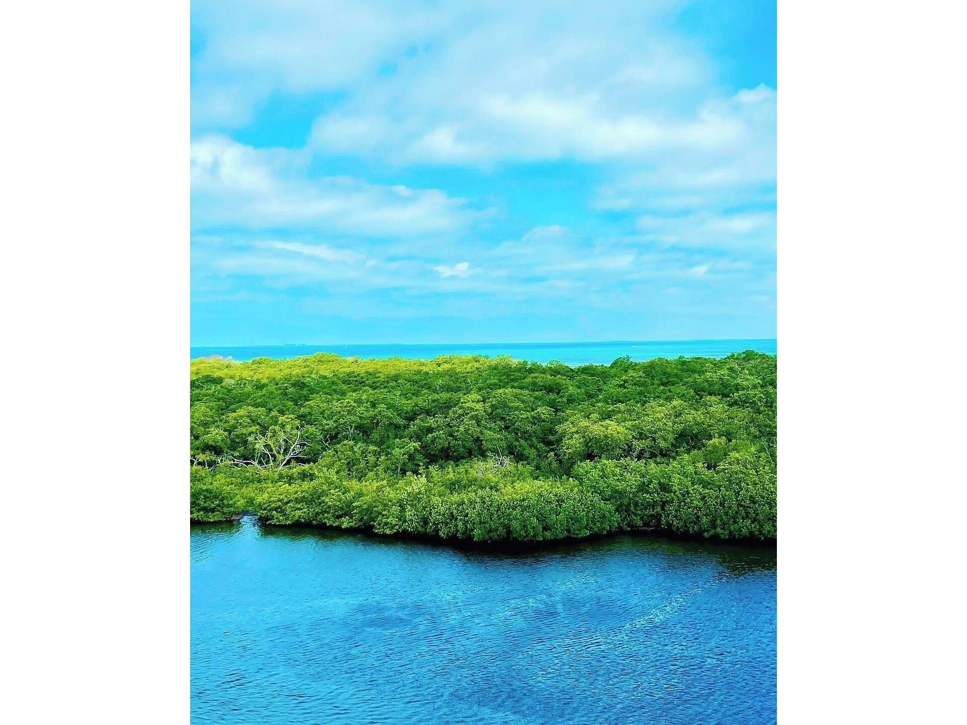 2408 89th Street NW Bradenton FL 34209 - TAMPA BAY A4669737 image73