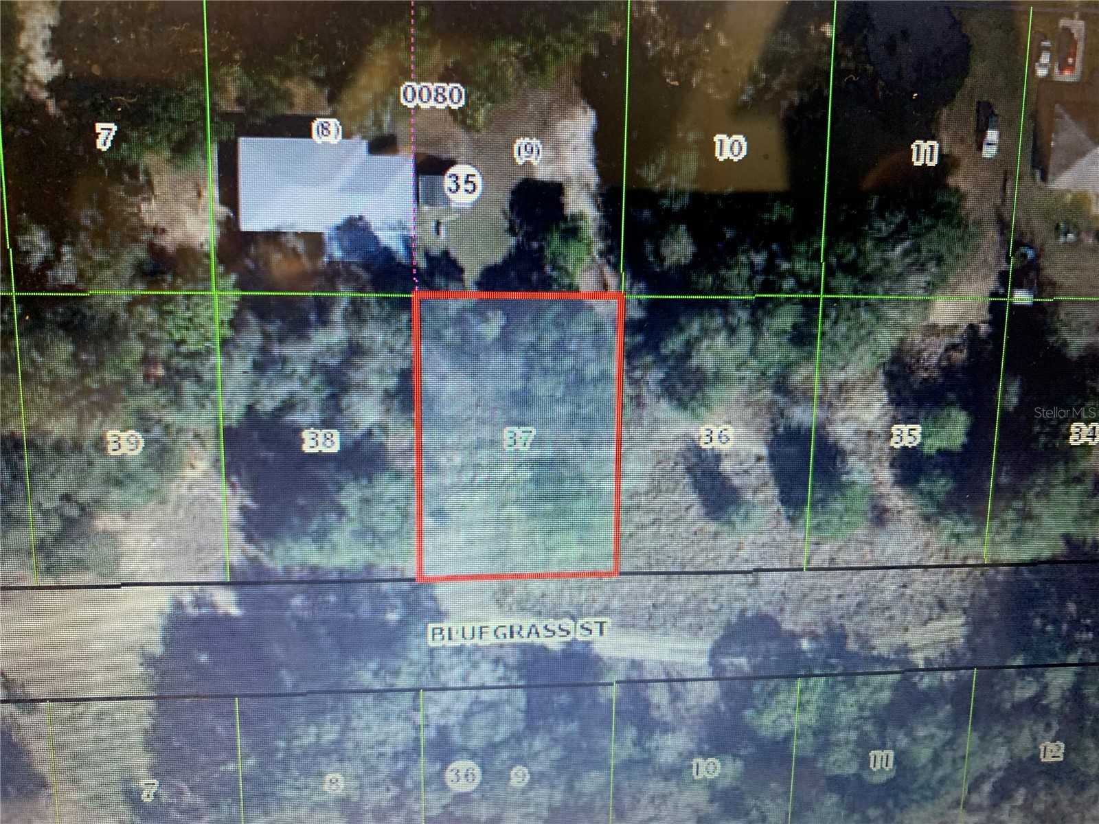 2408 Bluegrass Street Inverness FL 34453 OM721145 image1