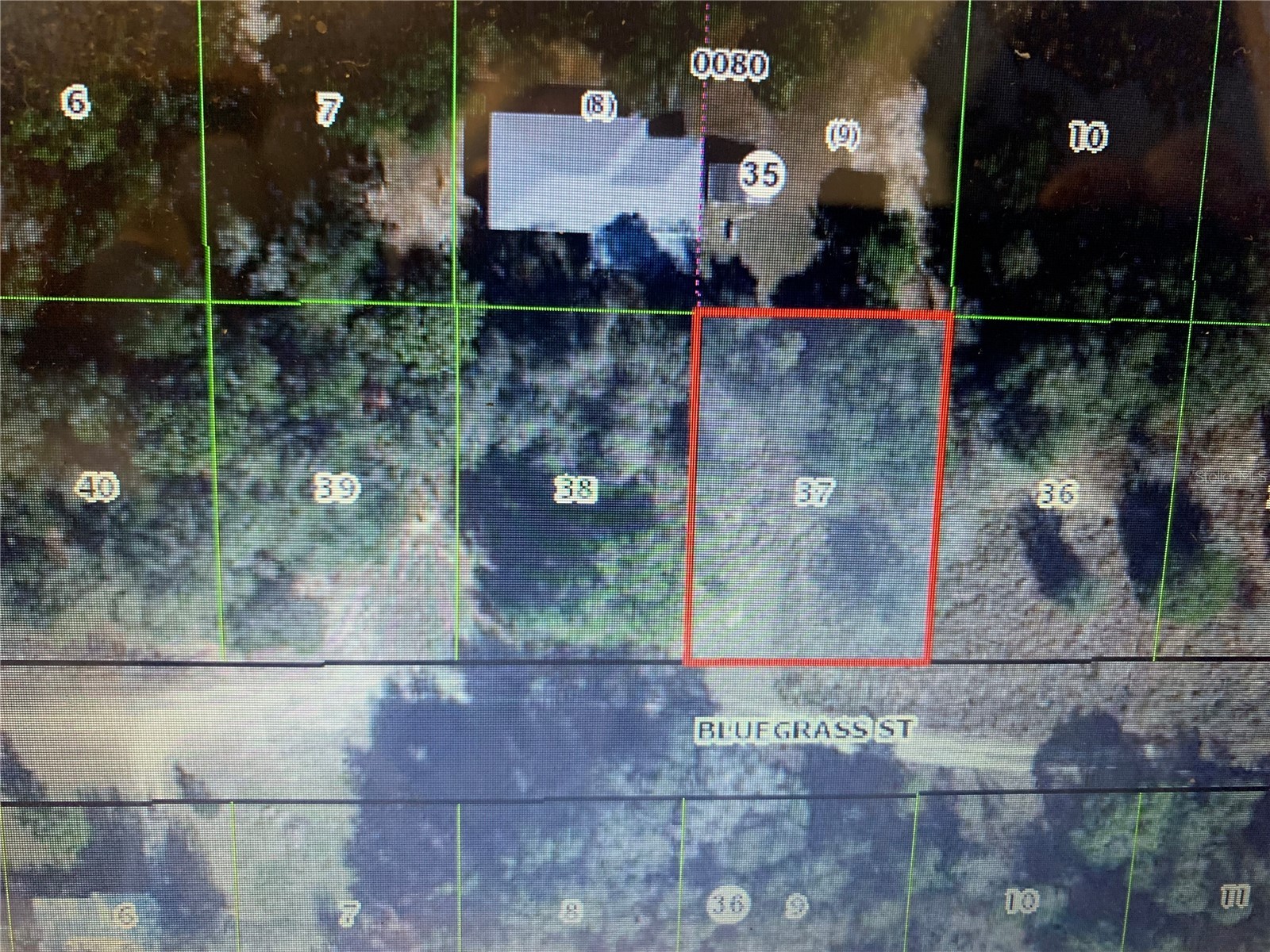 2408 Bluegrass Street Inverness FL 34453 OM721145 image2