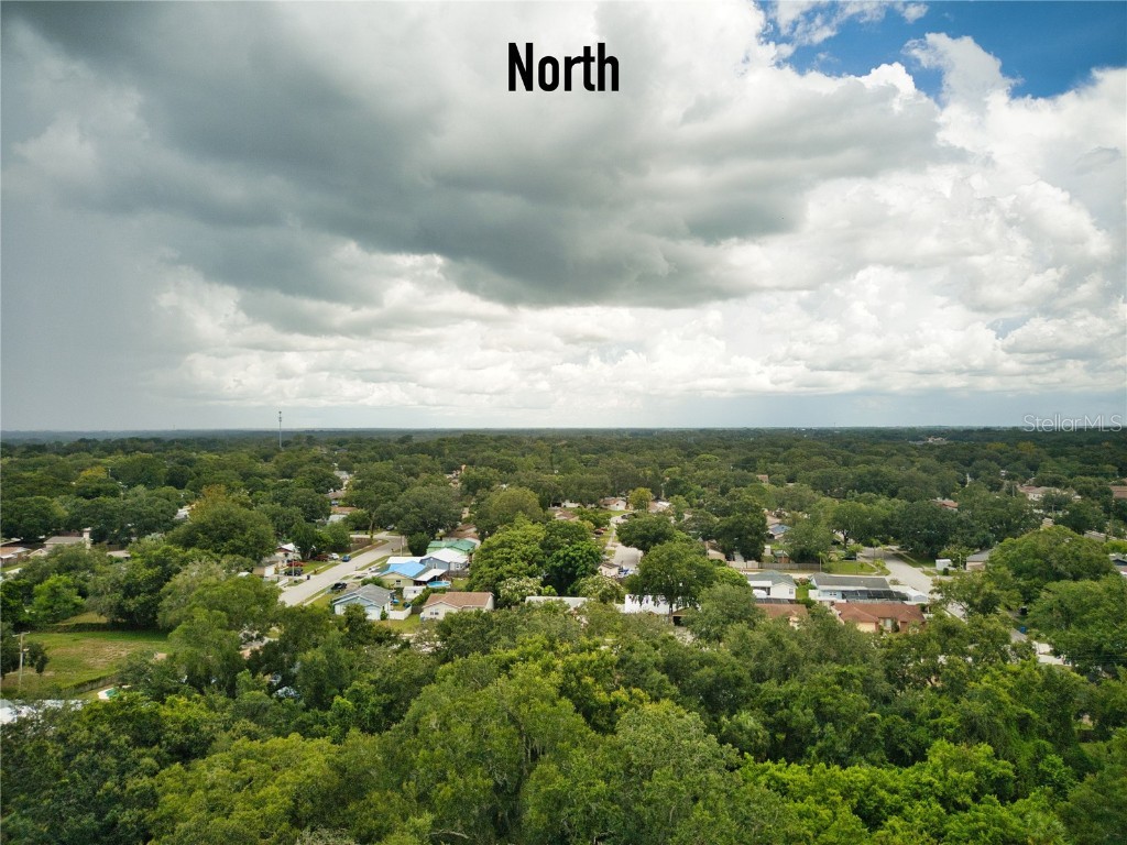 2408 Camden Oaks Place Valrico FL 33594 TB8450739 image50