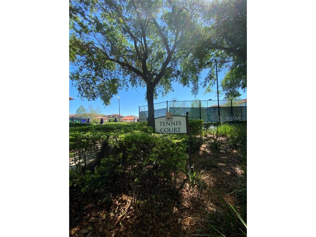 2408 Lobelia Drive Lake Mary FL 32746 O6347451 image21