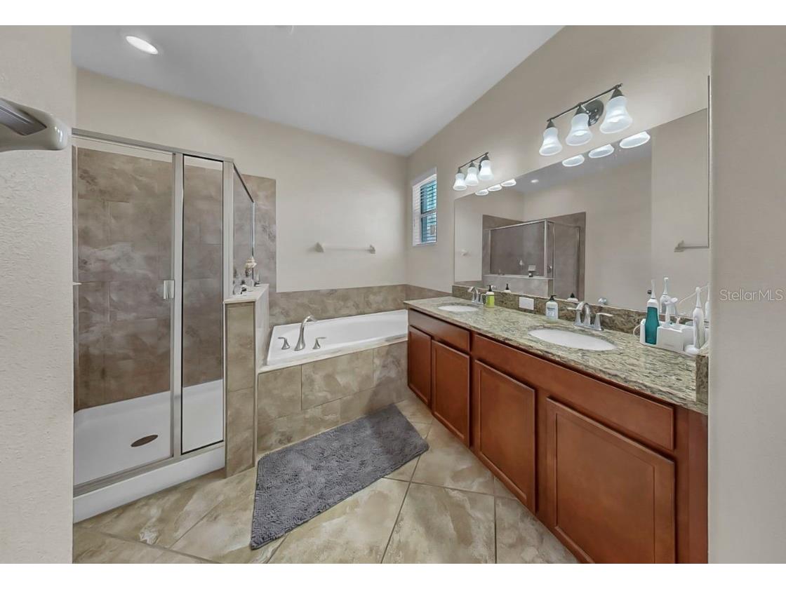 2408 Nighthawk Landing Court Ruskin FL 33570 TB8442986 image24