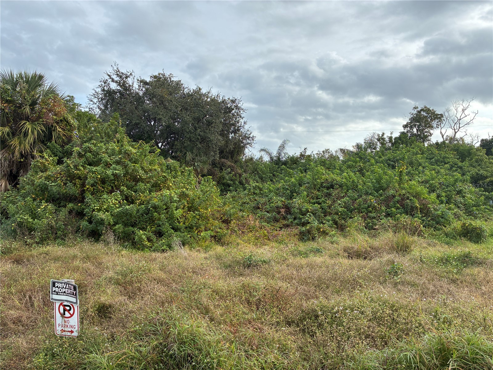 2408 Parkview Drive Fort Myers FL 33905 C7520243 image1
