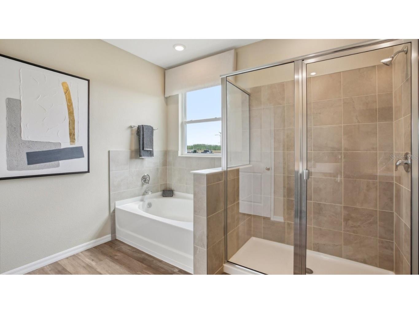 2408 Stratten Drive Zephyrhills FL 33541 TB8452568 image30