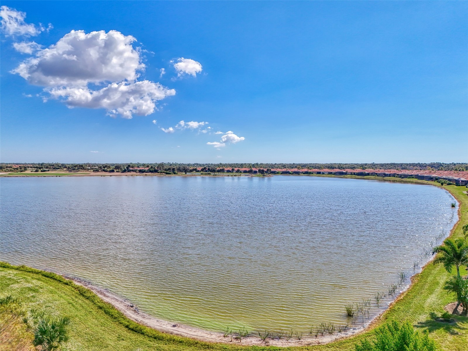 24080 Spartina Drive Venice FL 34293 N6141636 image47