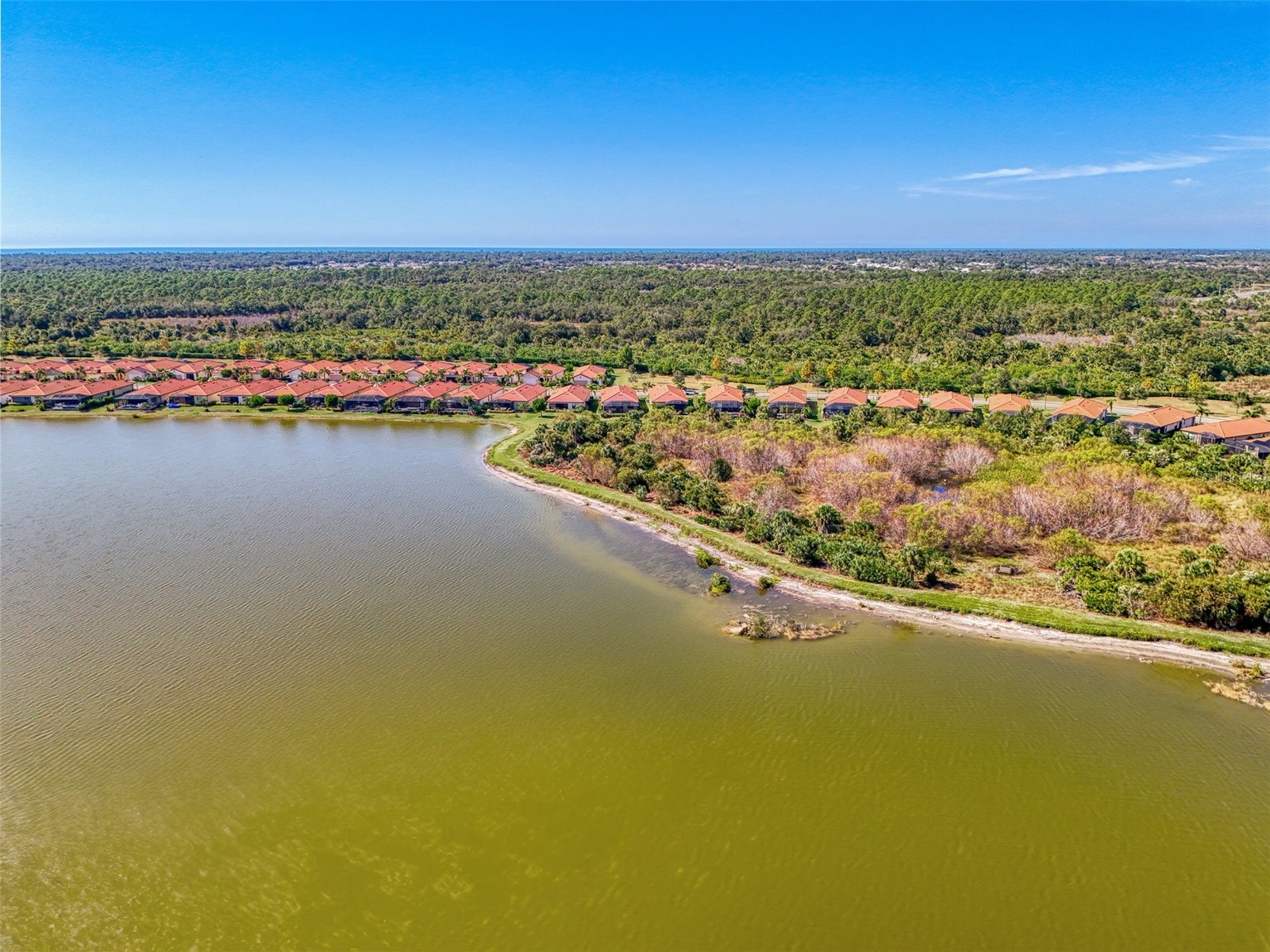 24080 Spartina Drive Venice FL 34293 N6141636 image48