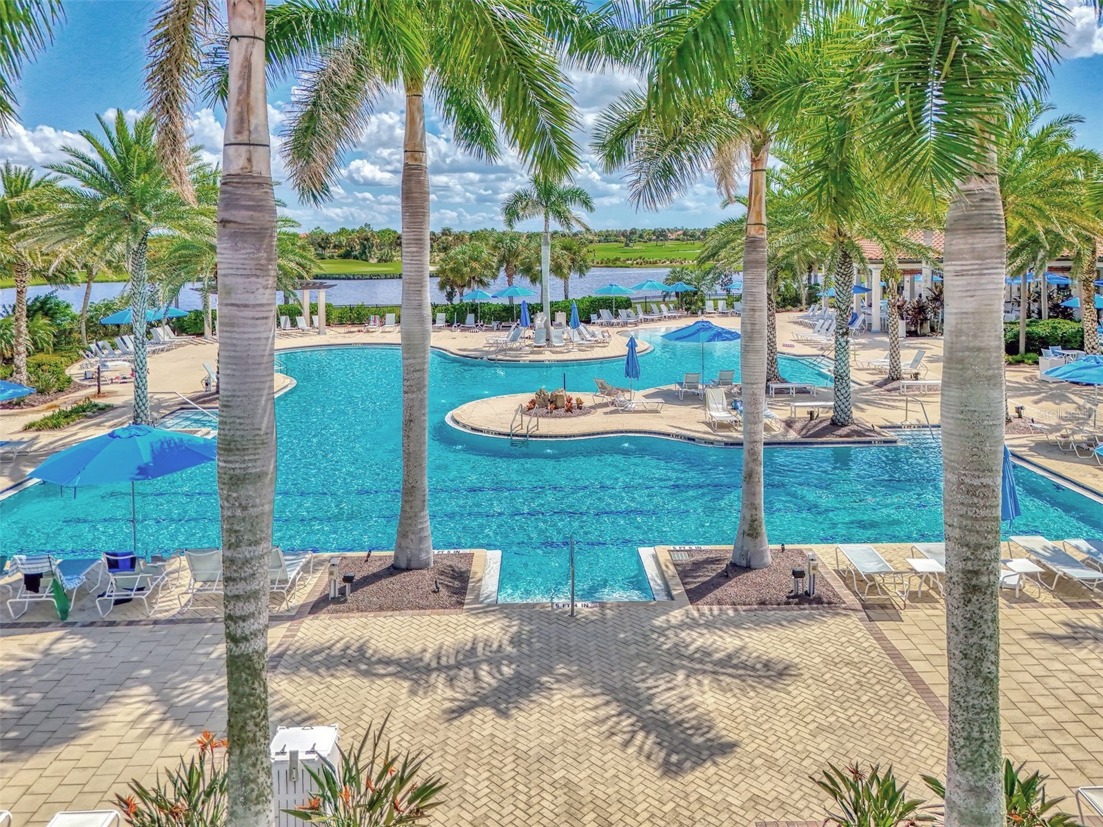 24080 Spartina Drive Venice FL 34293 N6141636 image67