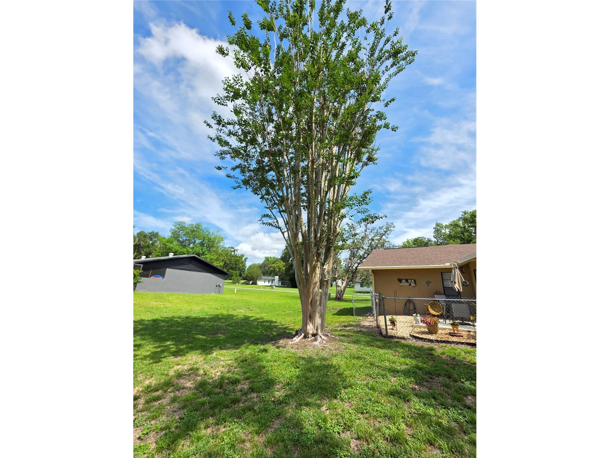 24088 Eppley Drive Brooksville FL 34601 W7886020 image25
