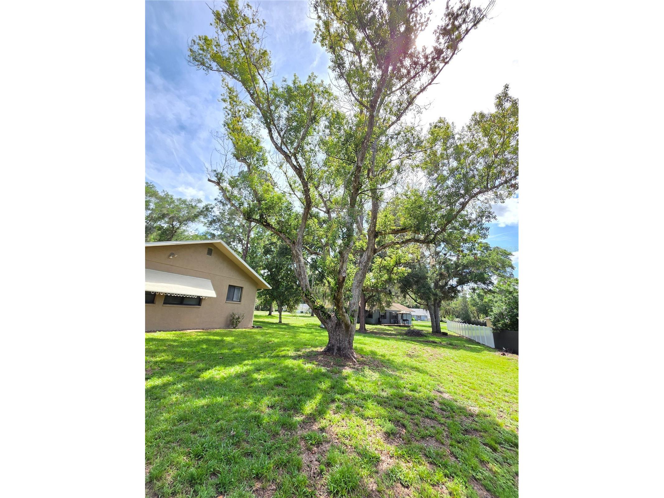 24088 Eppley Drive Brooksville FL 34601 W7886020 image26