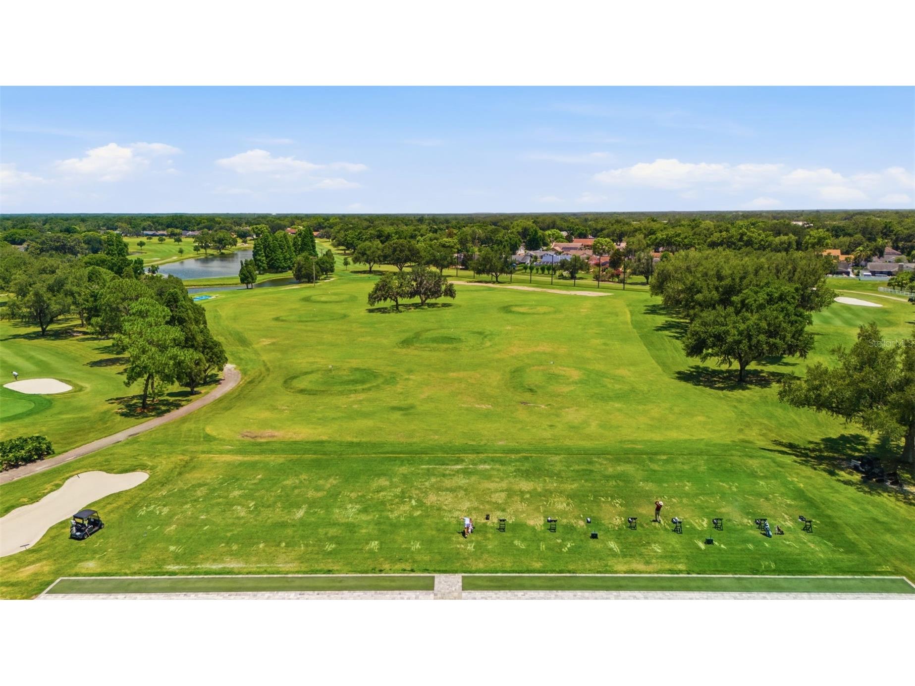 2409 Arborwood Drive Valrico FL 33596 TB8521870 image49