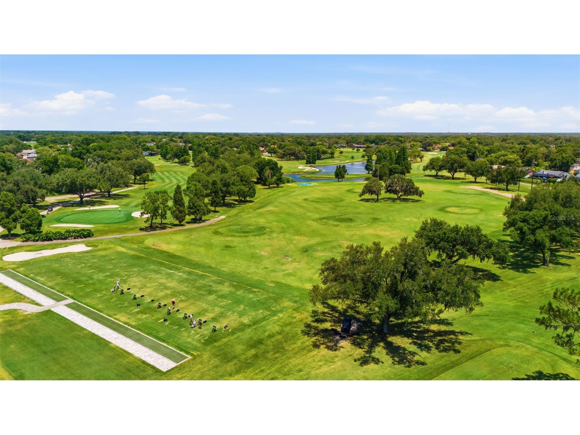 2409 Arborwood Drive Valrico FL 33596 TB8521870 image50