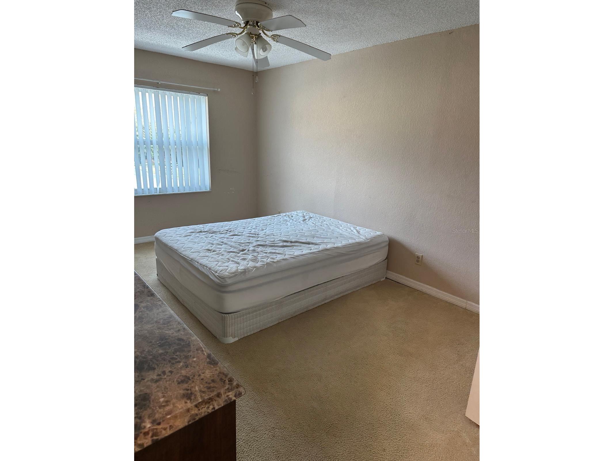 2409 Barley Club Drive #3 Orlando FL 32837 S5145239 image17