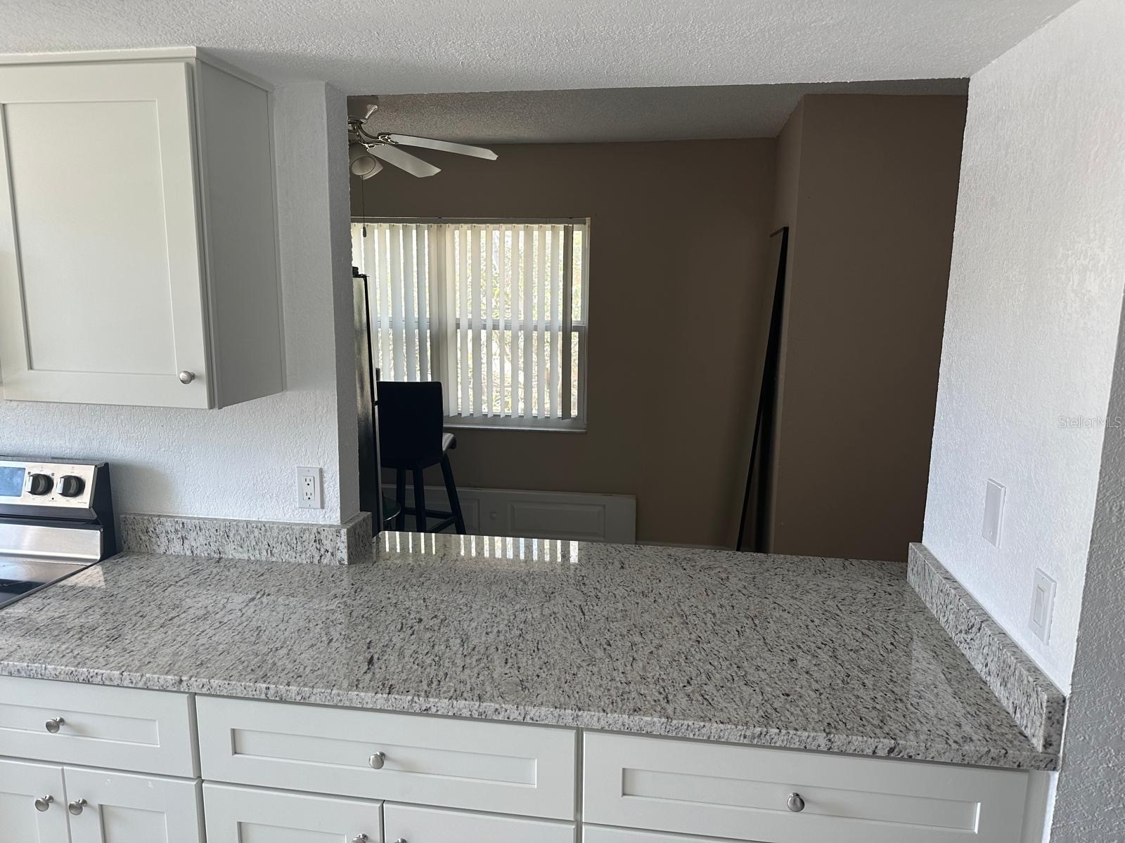 2409 Barley Club Drive #3 Orlando FL 32837 S5145239 image2