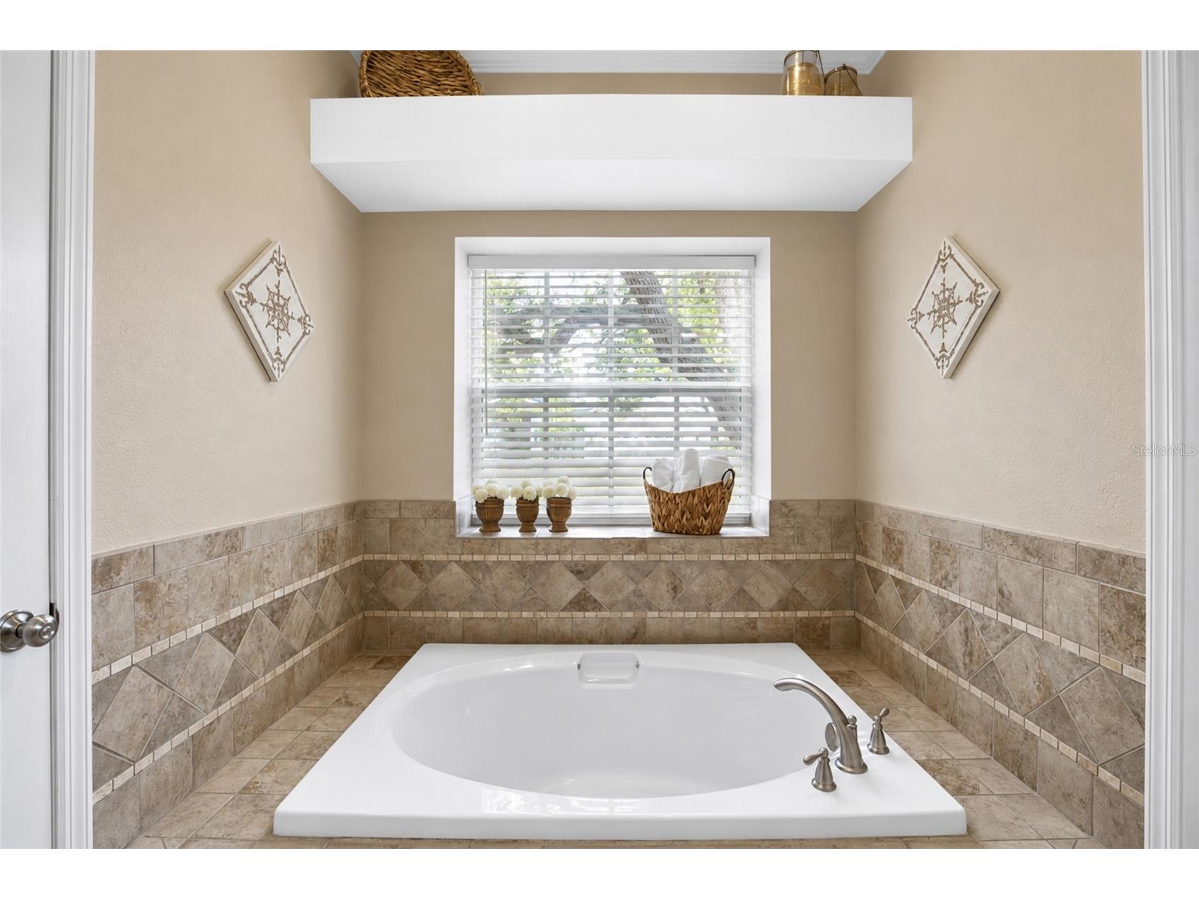 2409 Dana Drive Safety Harbor FL 34695 TB8525055 image21