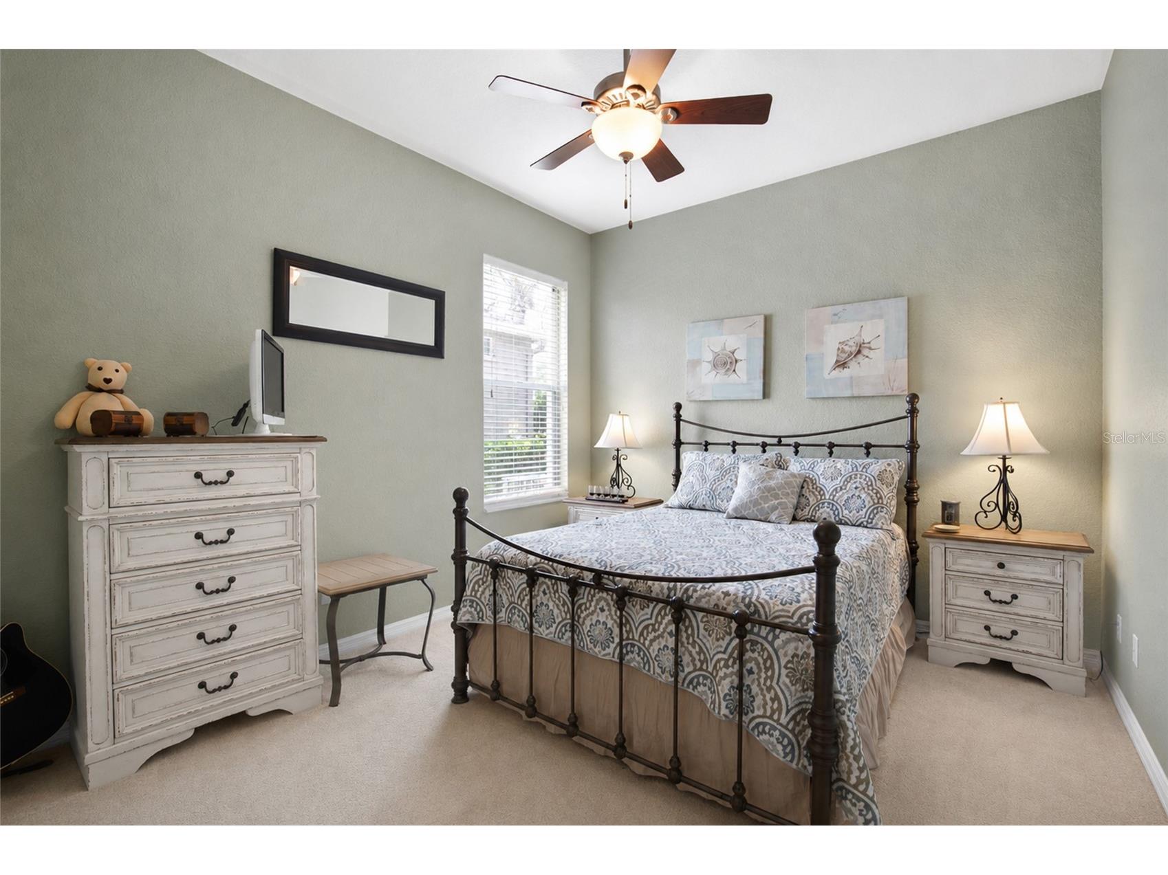 2409 Dana Drive Safety Harbor FL 34695 TB8525055 image28