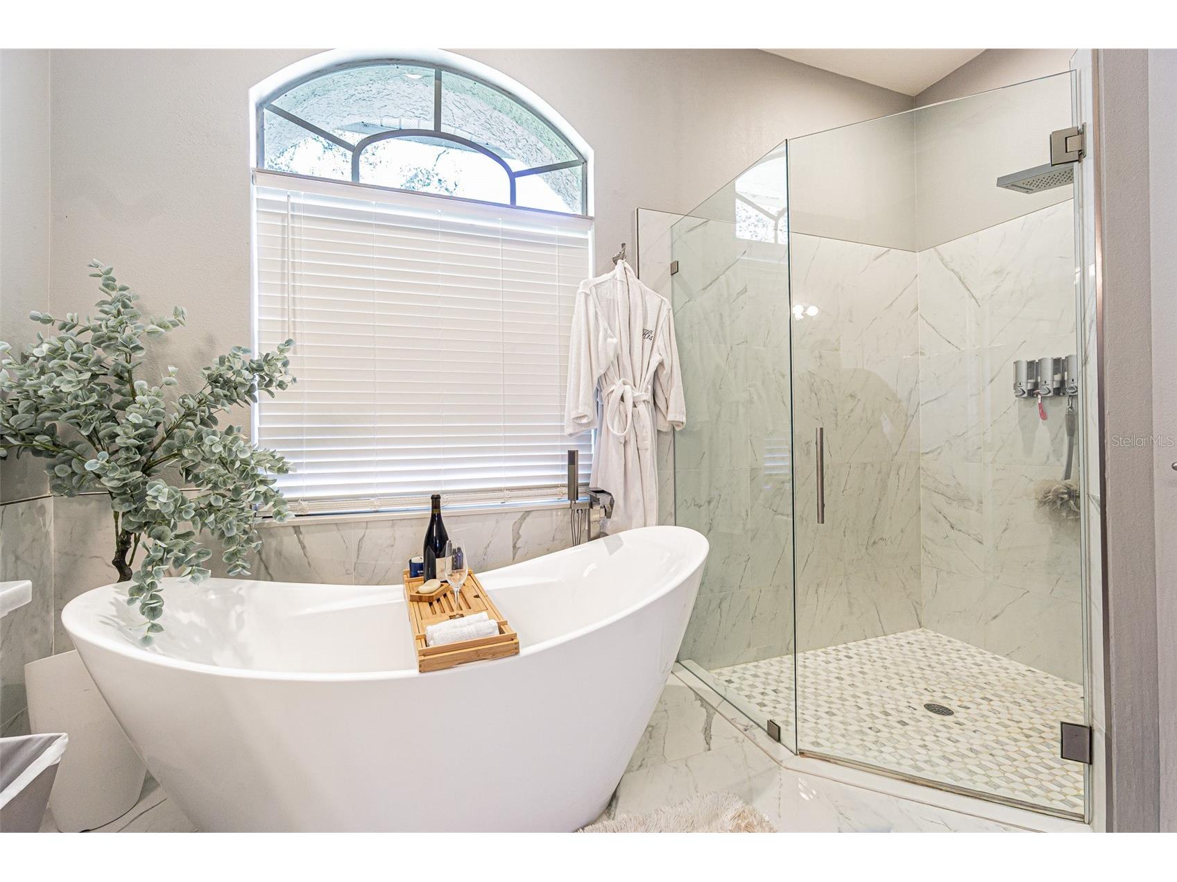 2409 Fox Forest Drive Lutz FL 33549 TB8530564 image13