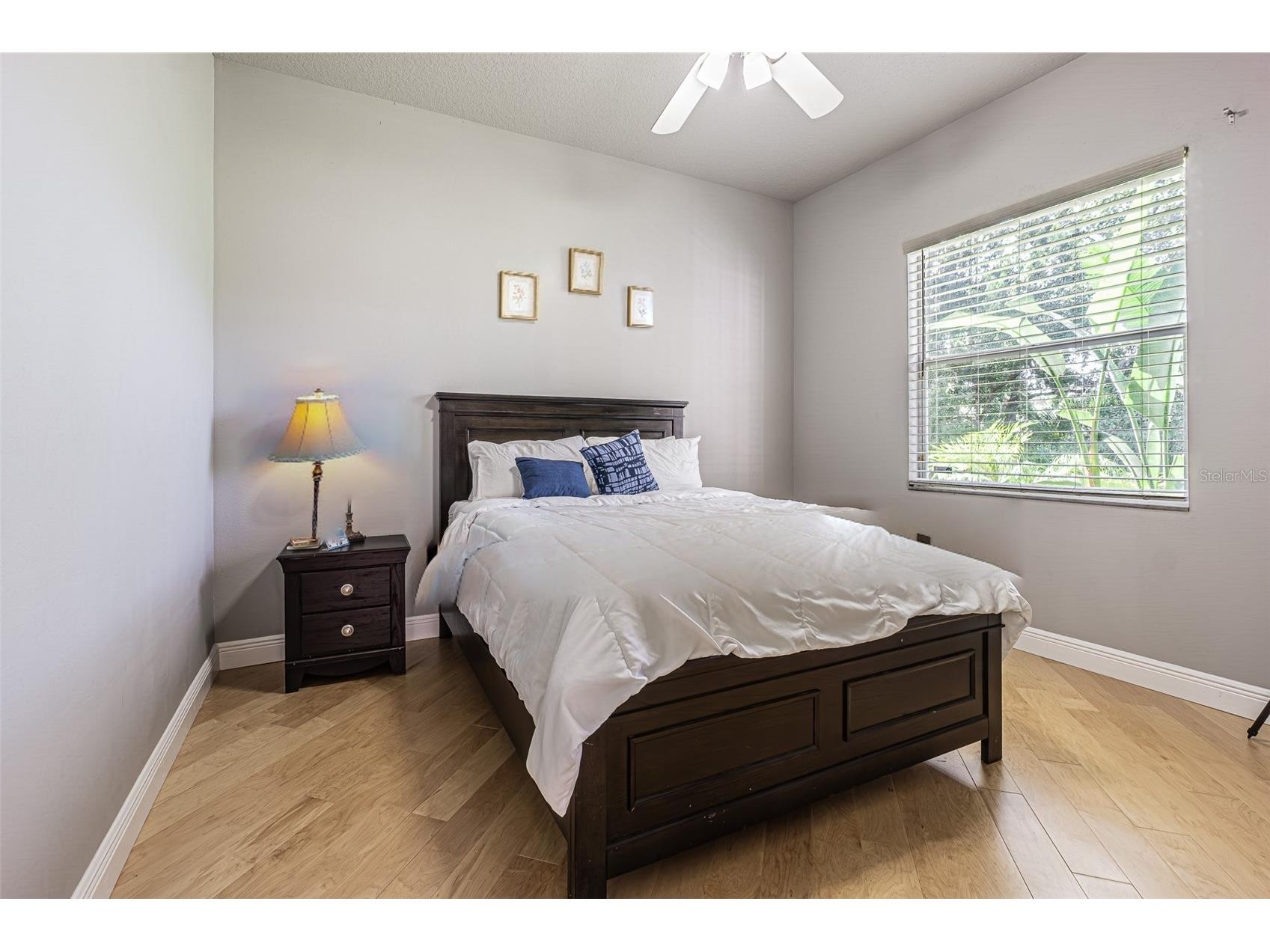 2409 Fox Forest Drive Lutz FL 33549 TB8530564 image14