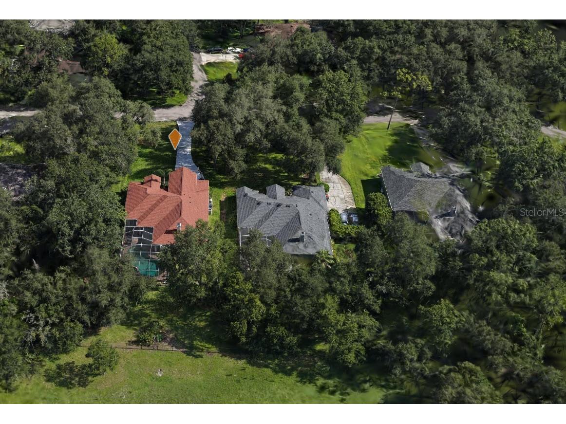 2409 Fox Forest Drive Lutz FL 33549 TB8530564 image33