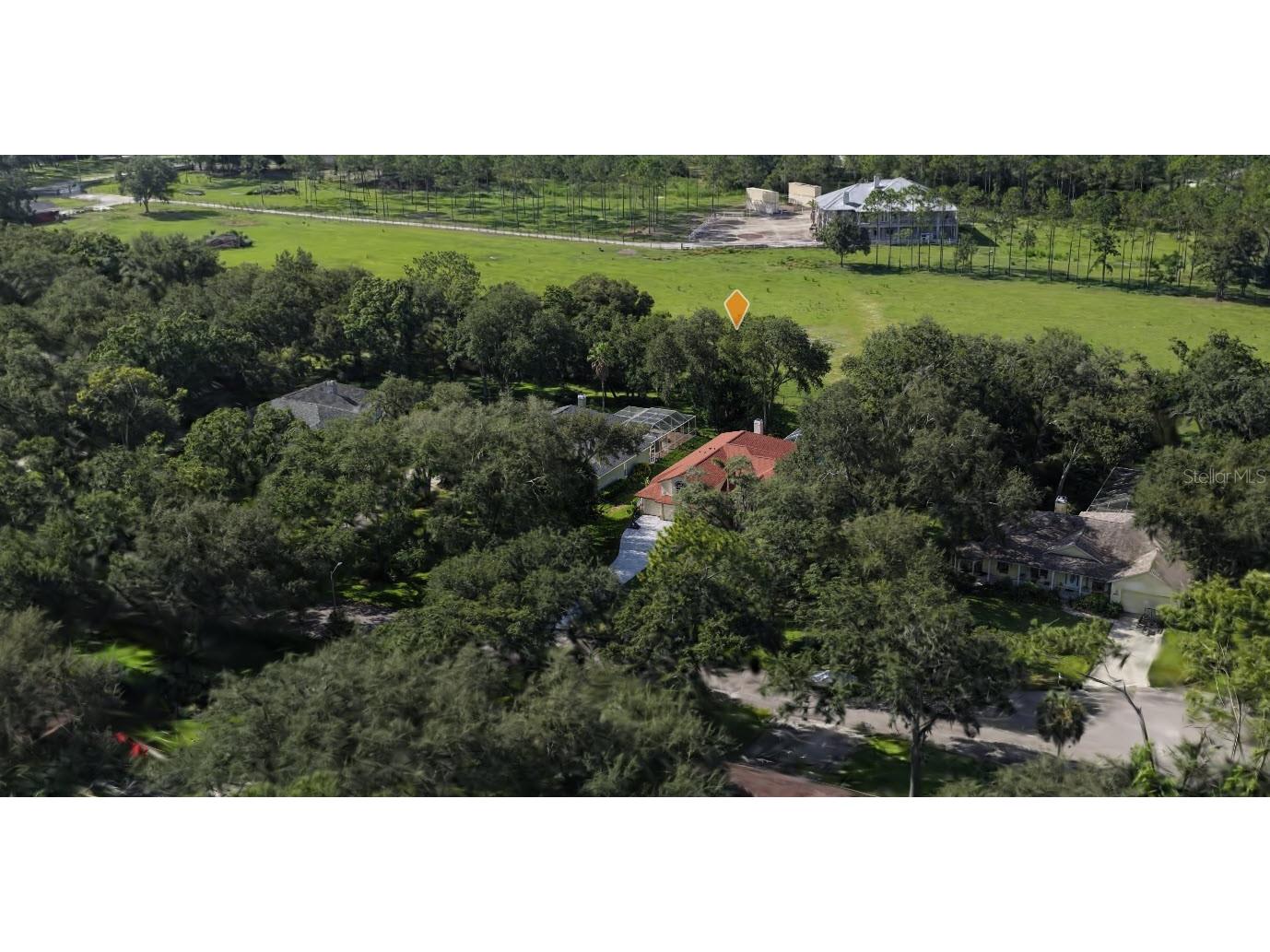 2409 Fox Forest Drive Lutz FL 33549 TB8530564 image34