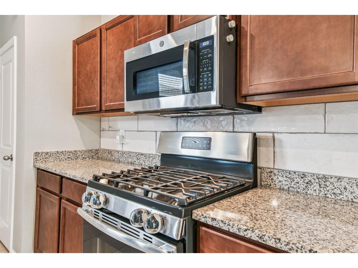 2409 Hearth Drive Odessa FL 33556 TB8424099 image16