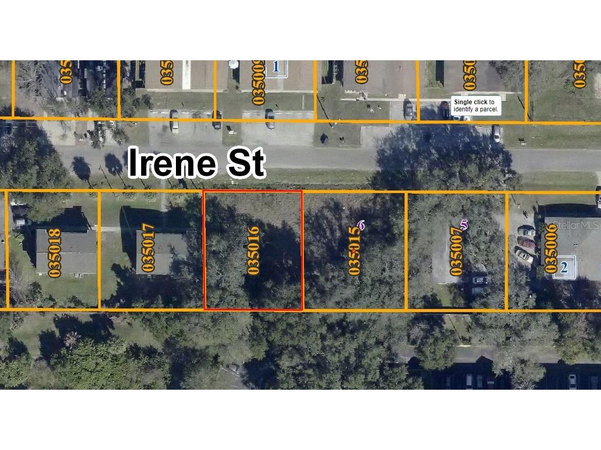 2409 Irene Street Lutz FL 33549 A4526552 image1