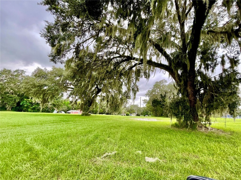 2409 Montclair Road Leesburg FL 34748 G5087244 image7