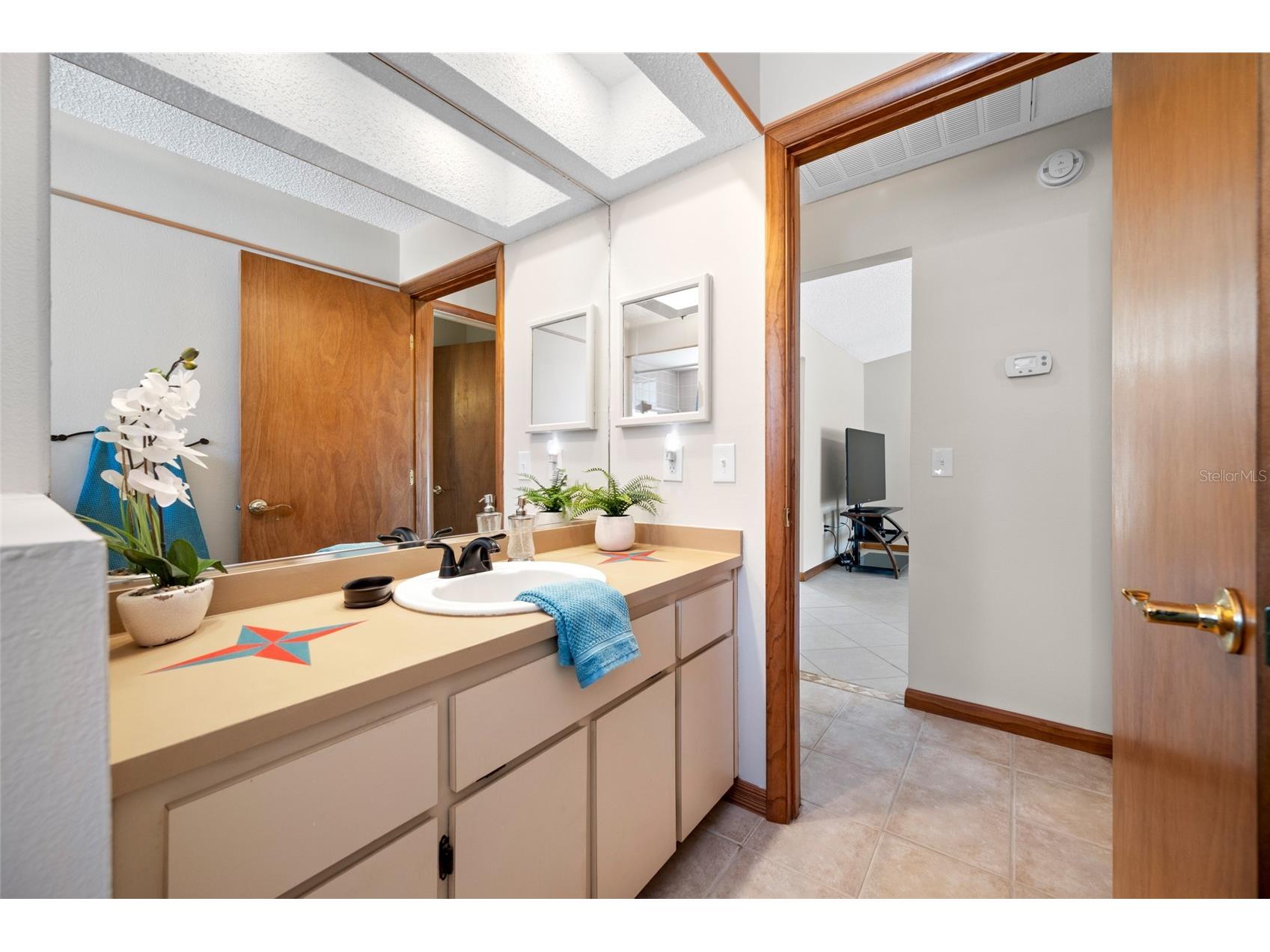 2409 Osprey Avenue Palm Harbor FL 34683 TB8521786 image31